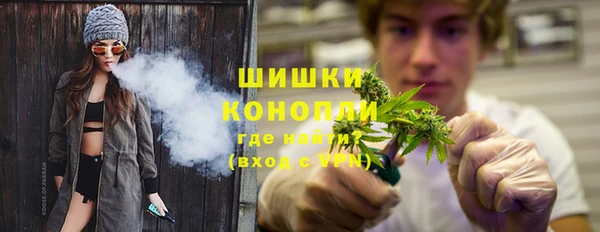 Альфа ПВП Гусев